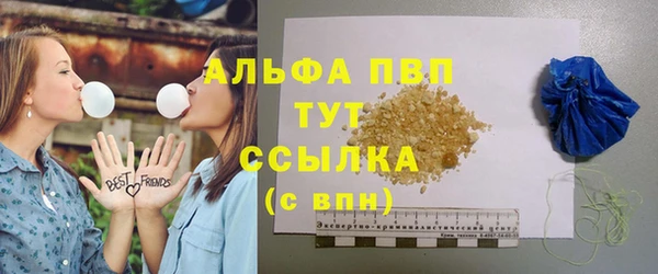 амф Алексин