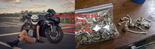 амф Алексин