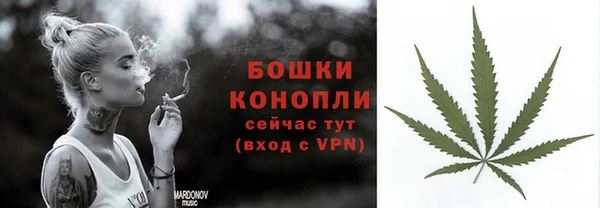ПСИЛОЦИБИНОВЫЕ ГРИБЫ Аркадак