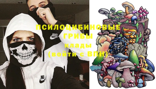 ПСИЛОЦИБИНОВЫЕ ГРИБЫ Аркадак