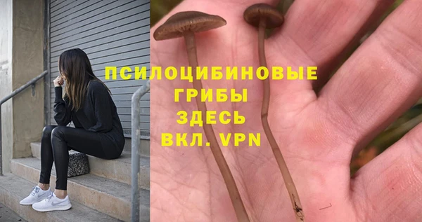 круглые Арсеньев