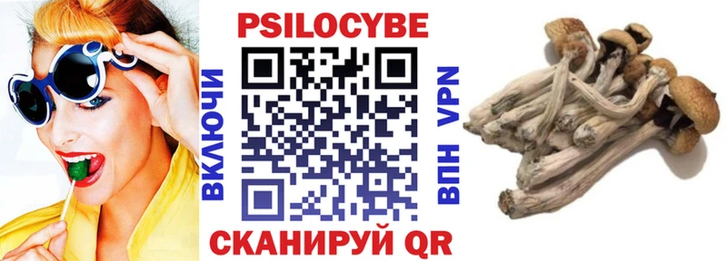 OMG ТОР  Чернушка  Галлюциногенные грибы Magic Shrooms  где купить  