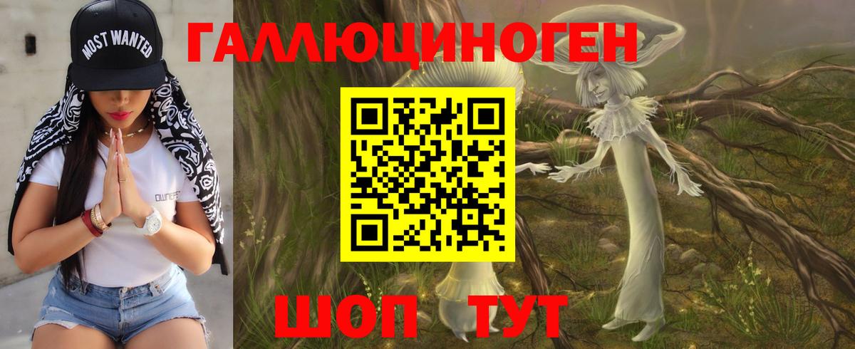 Галлюциногенные грибы прущие грибы Чернушка